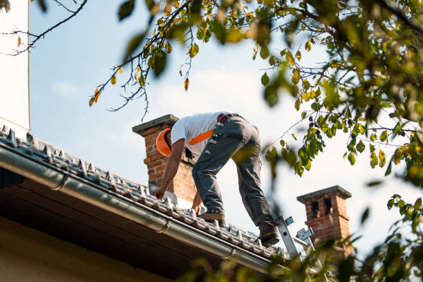 Best Emergency Roof Repair Services  in Montgomery, IL
