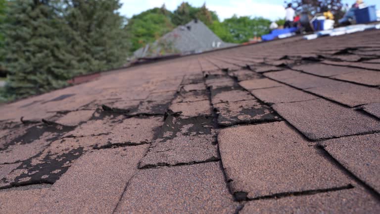 Best Hot Roofs  in Montgomery, IL
