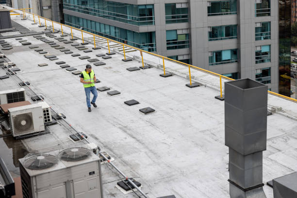 Best Roof Moss and Algae Removal  in Montgomery, IL