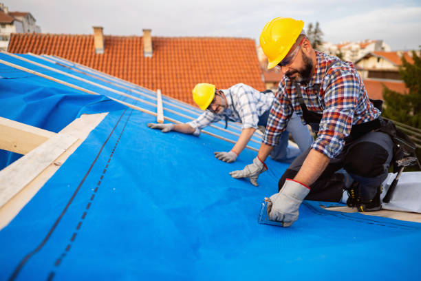 Best Metal Roofing Installation  in Montgomery, IL
