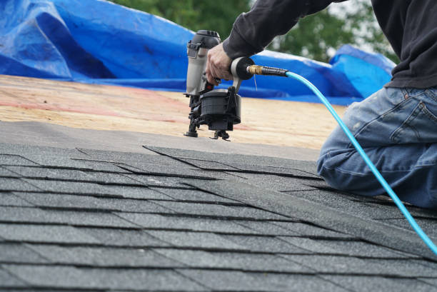 Best Solar Panel Roofing Installation  in Montgomery, IL